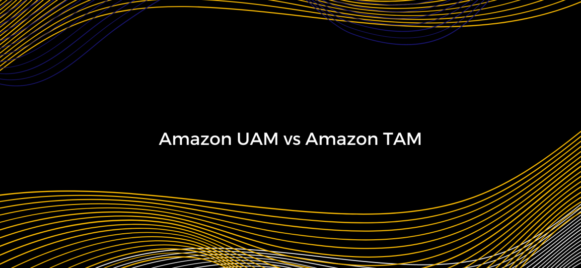 Amazon TAM vs Amazon UAM